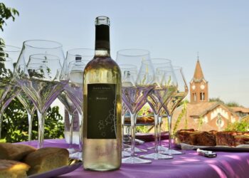 economia-volano-i-distretti-del-vino-e-delle-macchine-agricole