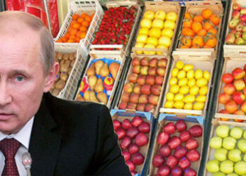 lembargo-russo-proseguira-fino-a-gennaio