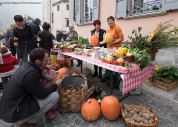 la-14a-edizione-di-fuori-di-zucca-a-santa-maria-maggiore