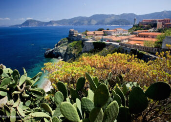 allisola-delba-il-prestigioso-premio-gruppo-del-gusto-dellassociazione-della-stampa-estera-in-italia