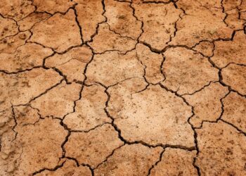 emergenza-idrica-piano-laghetti-e-certificazione-verde-per-le-aziende-agricole