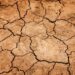 emergenza-idrica-piano-laghetti-e-certificazione-verde-per-le-aziende-agricole