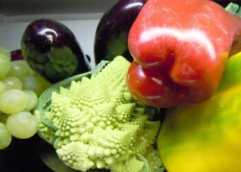 sicurezza-alimentare-e-sicurezza-ambientale-due-facce-della-stessa-medaglia