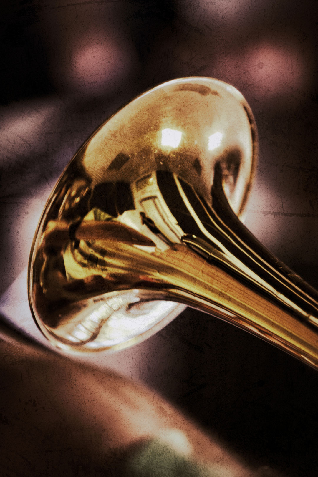 il-ministero-della-cultura-premia-siena-jazz