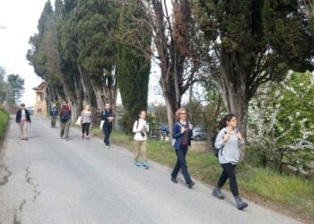 “siena-in-cammino”-la-rassegna-di-eventi-tra-francigena-e-giubileo