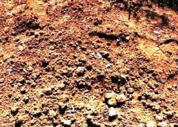 l primo Forum europeo per la sovranità  alimentare