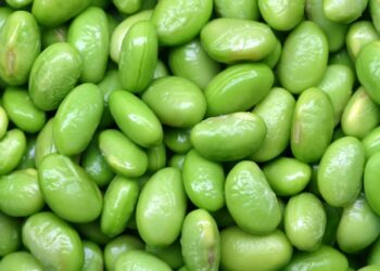 ue-lecito-importare-soia-ogm