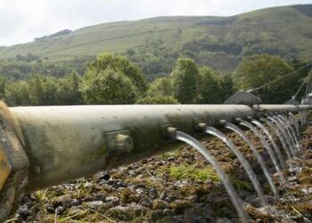 quanto-sono-green-gli-italiani-promossi-con-riserva