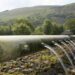 quanto-sono-green-gli-italiani-promossi-con-riserva