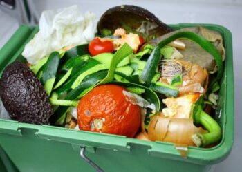 feste-natalizie-e-spreco-alimentare-nella-ristorazione-il-45-avviene-in-fase-di-preparazione