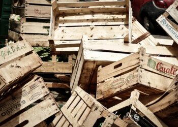 Spreco alimentare