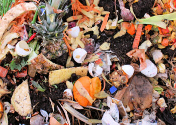 cibo-lo-spreco-avviene-in-casa