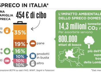spreco-alimentare-al-via-la-nuova-legge