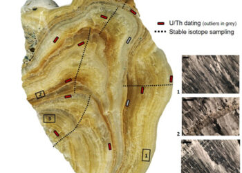 il-cambiamento-climatico-e-i-nuovi-miracoli-il-caso-di-san-frediano-a-lucca