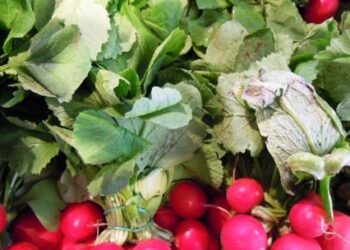 agroalimentare-in-arrivo-investimenti-per-le-star-up