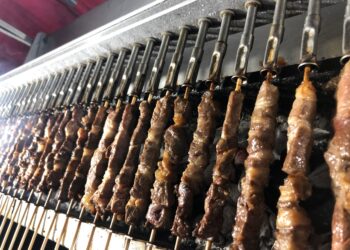 gorizia-il-festival-internazionale-dello-street-food