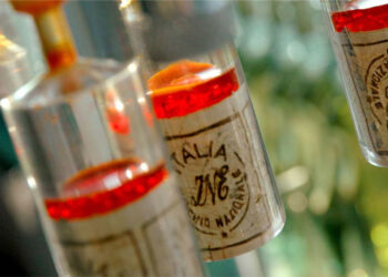 expo-partita-la-campagna-del-sughero-etico