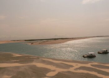 surriscaldamento-gli-oceani-soffrono-e-producono-meno-cibo