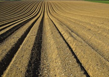 pac-del-futuro-e-scontro-sulle-cifre