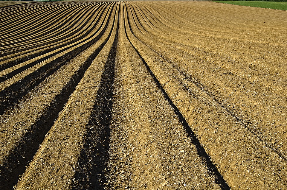 pac-del-futuro-e-scontro-sulle-cifre