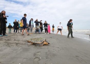 Programma LIFE: l'UE investe 121 milioni di € in progetti a favore dell'ambiente