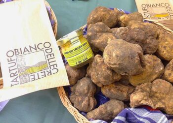 il-tartufo-delle-crete-sposa-il-brunello-di-montalcino