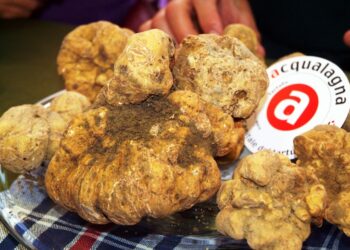 acqualagna-la-52esima-edizione-della-fiera-del-tartufo