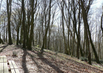 Il mondo ed i temi ambientali