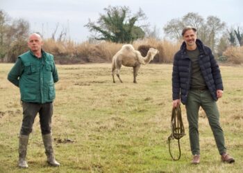 terre-di-pisa-protagonista-della-puntata-di-linea-verde-dedicata-a-dante