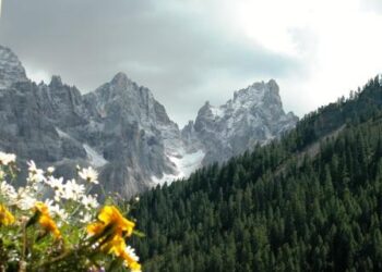 La carovana delle Alpi