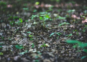 toyota-motor-italia-realizza-il-nuovo-impianto-di-climatizzazione-grazie-al-supporto-di-mitsubishi-electric-e-sodexo