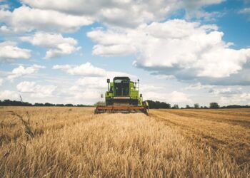 censimento-agricoltura-italia-verso-un-modello-piu-moderno-ma-i-giovani-ancora-non-decollano