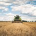 censimento-agricoltura-italia-verso-un-modello-piu-moderno-ma-i-giovani-ancora-non-decollano
