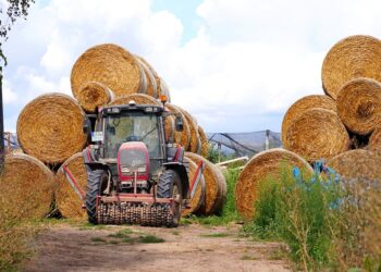 agricoltura-in-calo-gli-infortuni-sul-lavoro