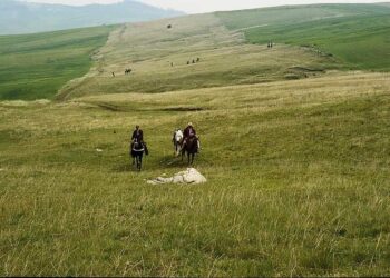 unesco-la-transumanza-diventa-patrimonio-culturale-immateriale-dellumanita