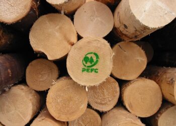 cop26-necessario-stop-alla-deforestazione-entro-il-2030-secondo-pecf-italia