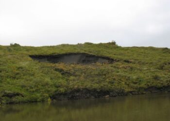 siberia-troppo-caldo-e-leffetto-serra-aumenta