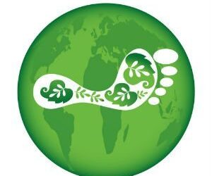 ambiente-limportanza-del-turismo-sostenibile