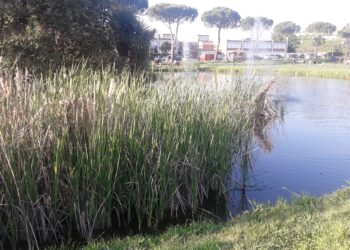 il-settore-turismo-passa-al-mipaaf