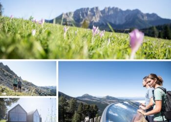 il-sogno-di-un-turismo-e-di-una-vita-ecosostenibili-nel-cuore-delle-dolomiti