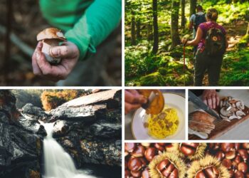 alta-valtaro-un-autunno-tra-porcini-castagne-e-tartufi