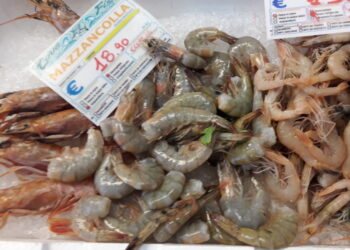 agosto-vendite-al-dettaglio-piu-consistenti-bene-lagroalimentare