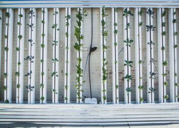 vertical-farm-lombardia-prima-regione-a-normare-il-fenomeno