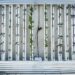 vertical-farm-lombardia-prima-regione-a-normare-il-fenomeno