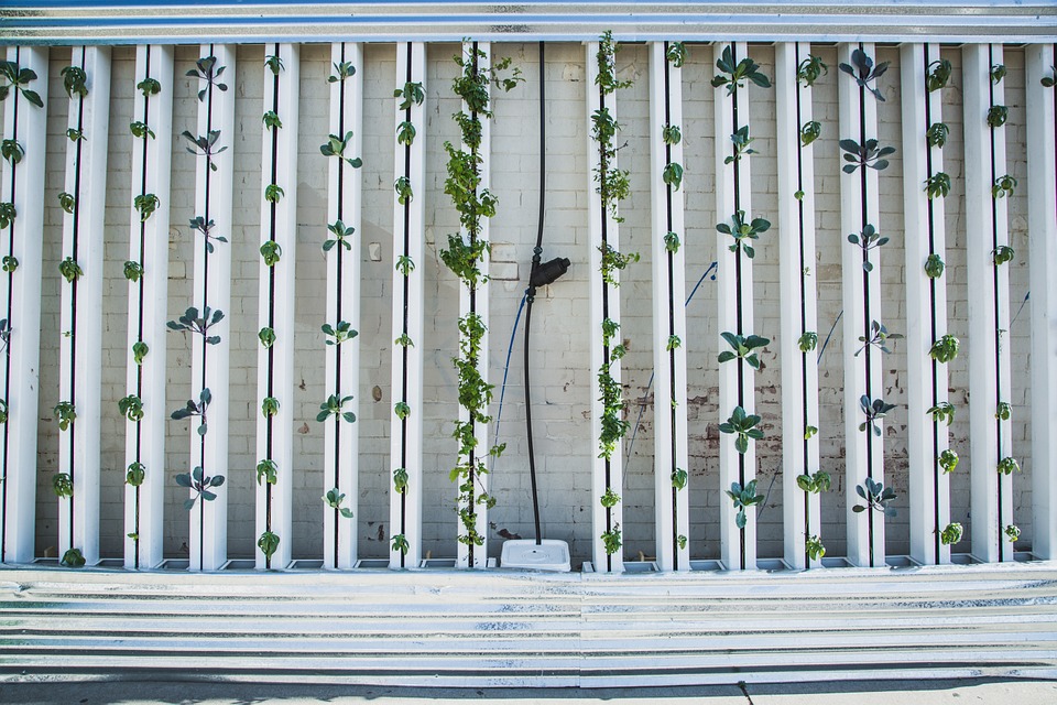 vertical-farm-lombardia-prima-regione-a-normare-il-fenomeno