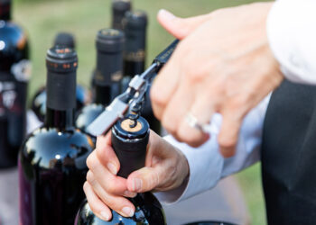 i-giovani-vignaioli-a-convegno