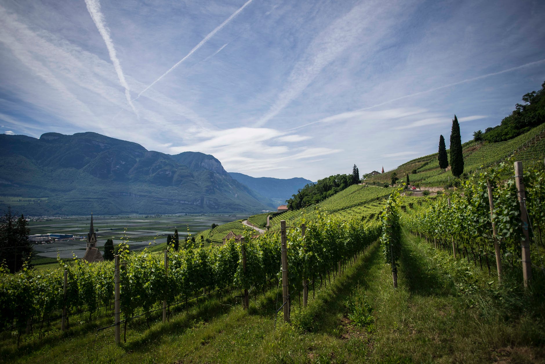 arriva-la-tutela-per-i-vigneti-storici-ed-eroici