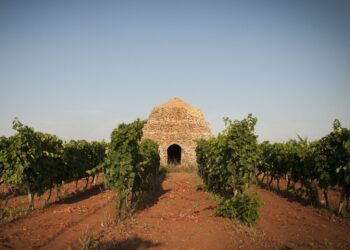 roma-alla-scoperta-del-primitivo-di-manduria