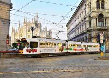 a-giugno-torna-sulle-tavole-italiane-la-ciliegia-di-vignola-igp