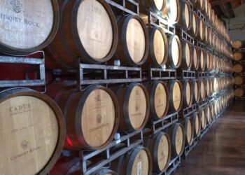 emergenza-anche-per-il-vitivinicolo